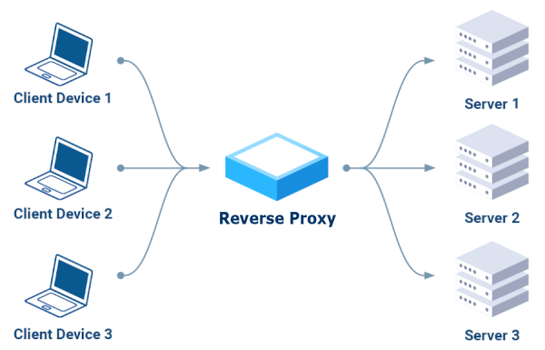 Diagramm eines Reverse-Proxys